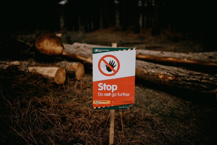 Từ Vựng Bài Đọc Forest Management In Pennsylvania, Usa