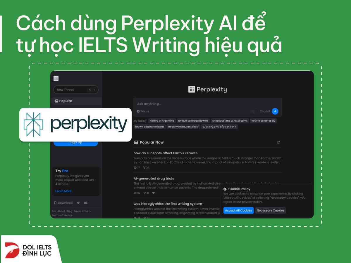 cách dùng perplexity Ai học IELTS Writing