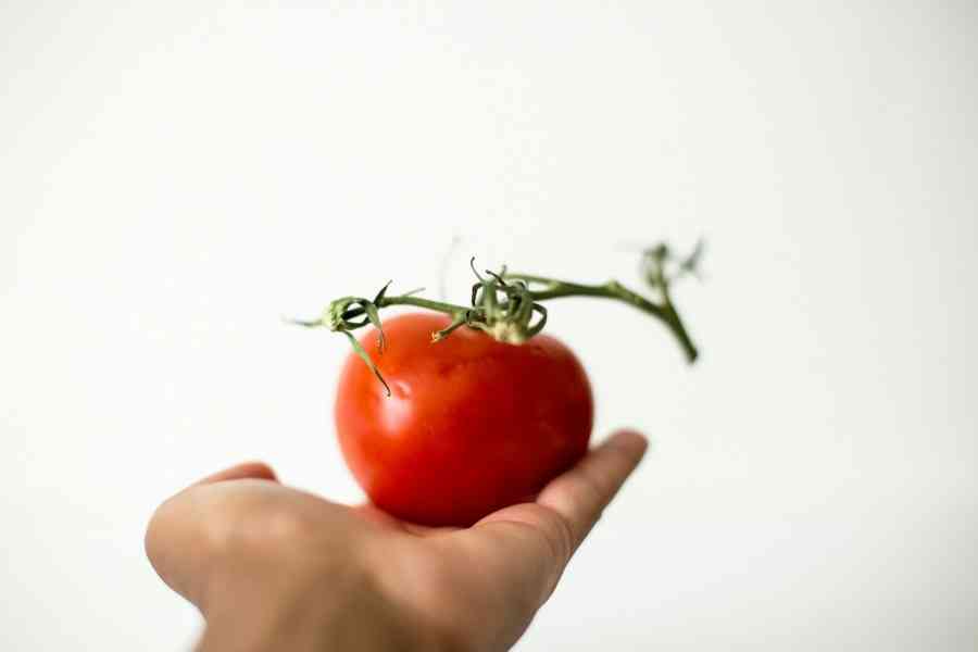 Từ Vựng Bài Nghe Developing food trends