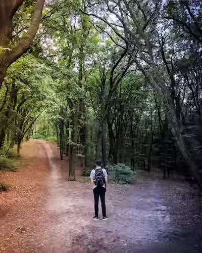 Bài mẫu IELTS Speaking part 2: Describe a time when you had to make a difficult decision