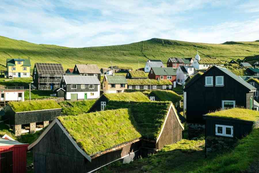 Green Roofs IELTS Reading Answers with Explanation