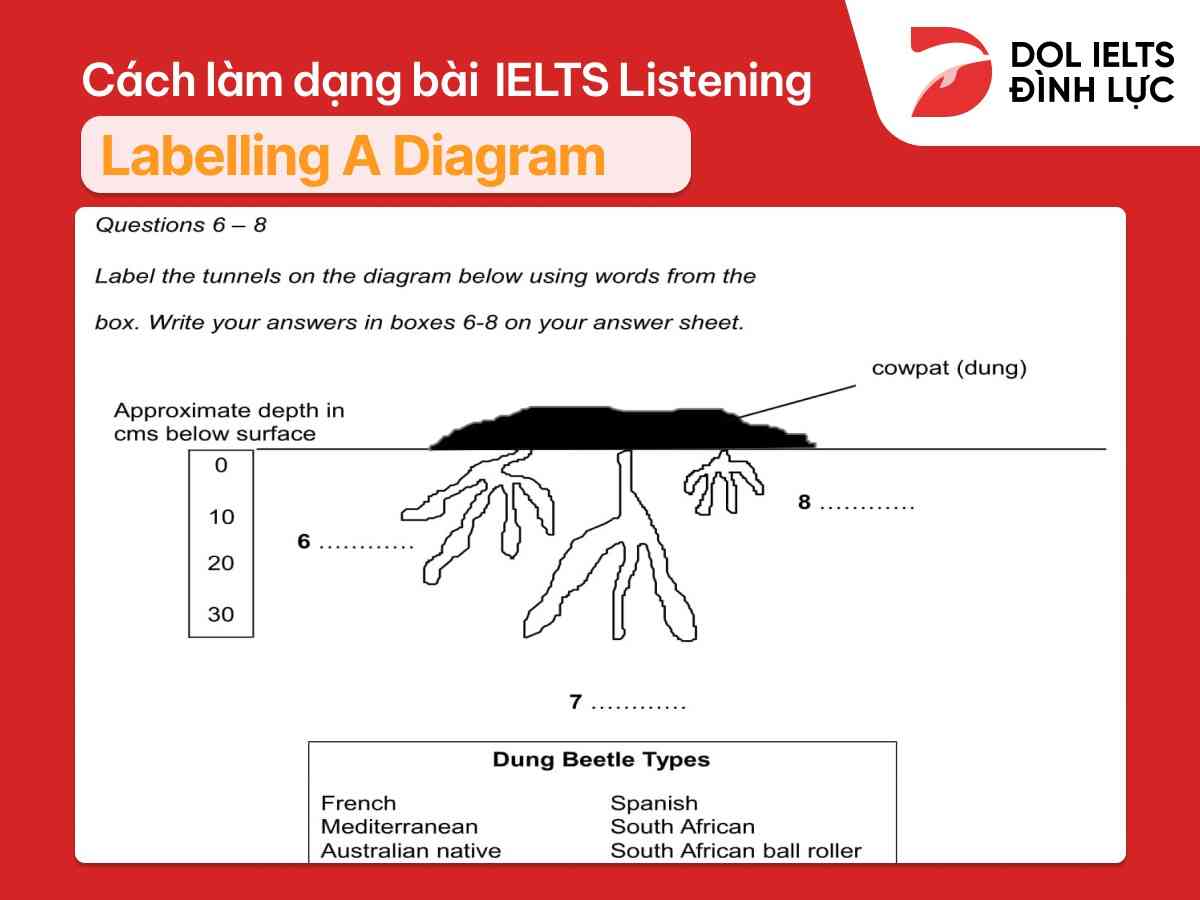ielts listening labelling a diagram
