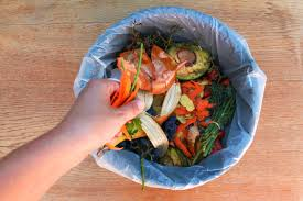 [Quý 2/2025] Đề thi thật IELTS Writing Task 2  – Dạng Two-part questions chủ đề Food & Drinks (Food waste) kèm bài mẫu band 8.5+, dàn ý chi tiết, từ vựng và bài tập ôn luyện.