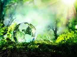 Dự đoán đề IELTS Writing Task 2 – Dạng Discuss both views, chủ đề Environment (Pollution reduction) kèm bài mẫu band 8.5+, dàn ý chi tiết, từ vựng và bài tập ôn luyện.