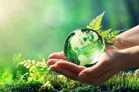 Real IELTS Writing Task 2 - Topic Environment (Environmental responsibility) & sample band 8.5+