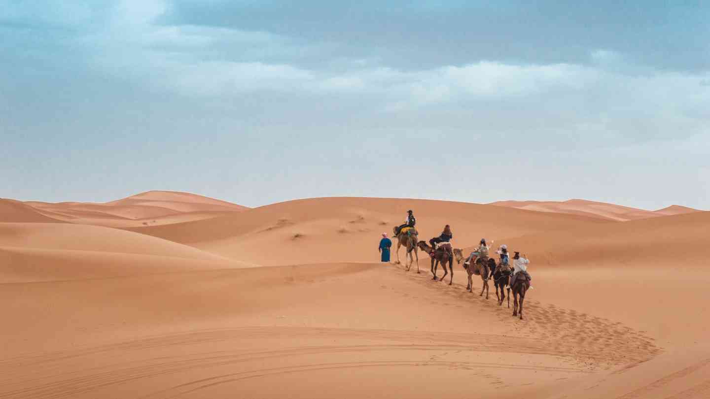 Từ Vựng Bài Đọc Ancient People In Sahara