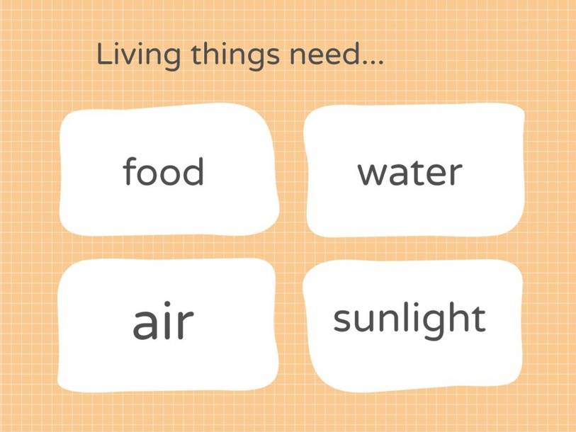 vocab