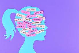 vocab