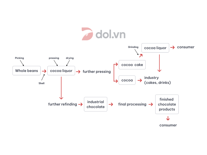 Bài mẫu sample IELTS Writing Task 1 ngày 0707/2022: The diagram below shows the stages in processing cocoa beans.