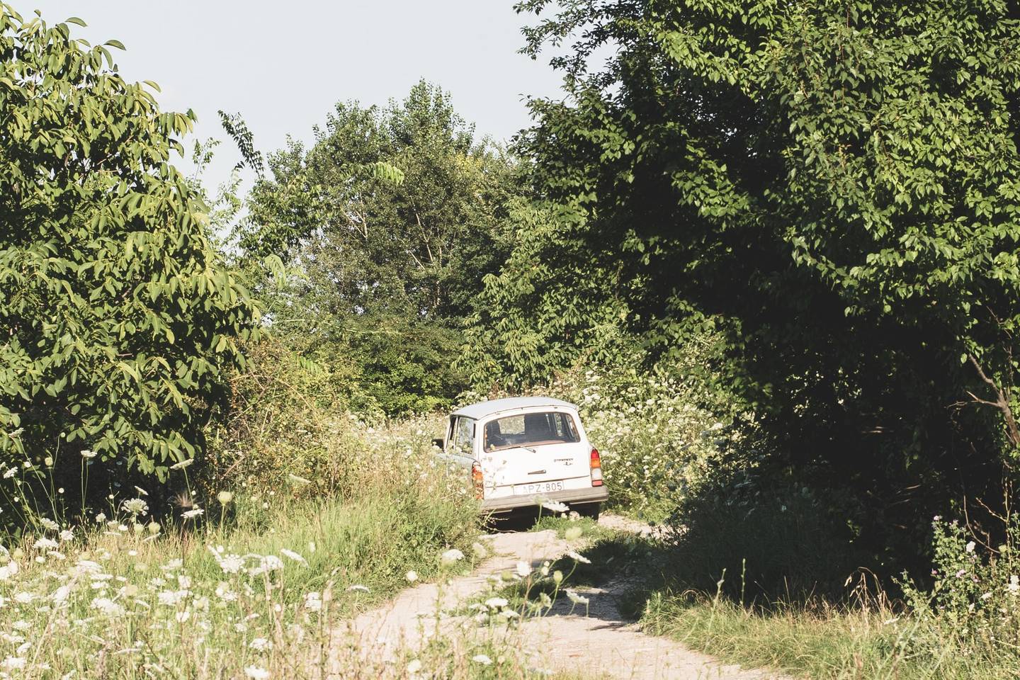 Từ Vựng Bài Nghe Report On Abandoned Vehicle