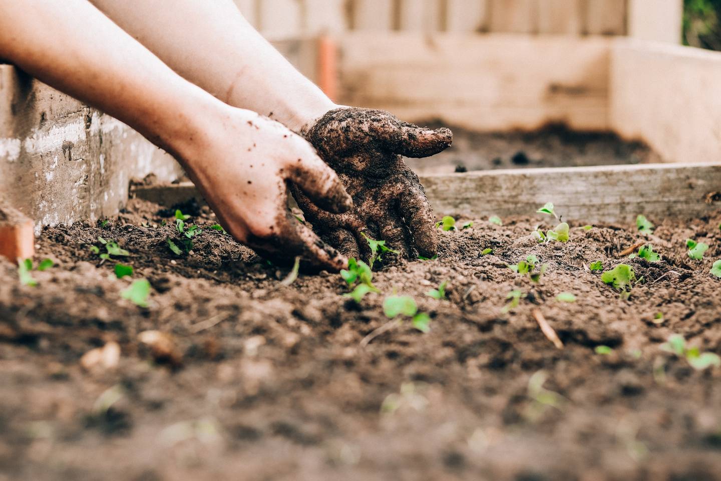 Từ Vựng Bài Đọc Saving The Soil