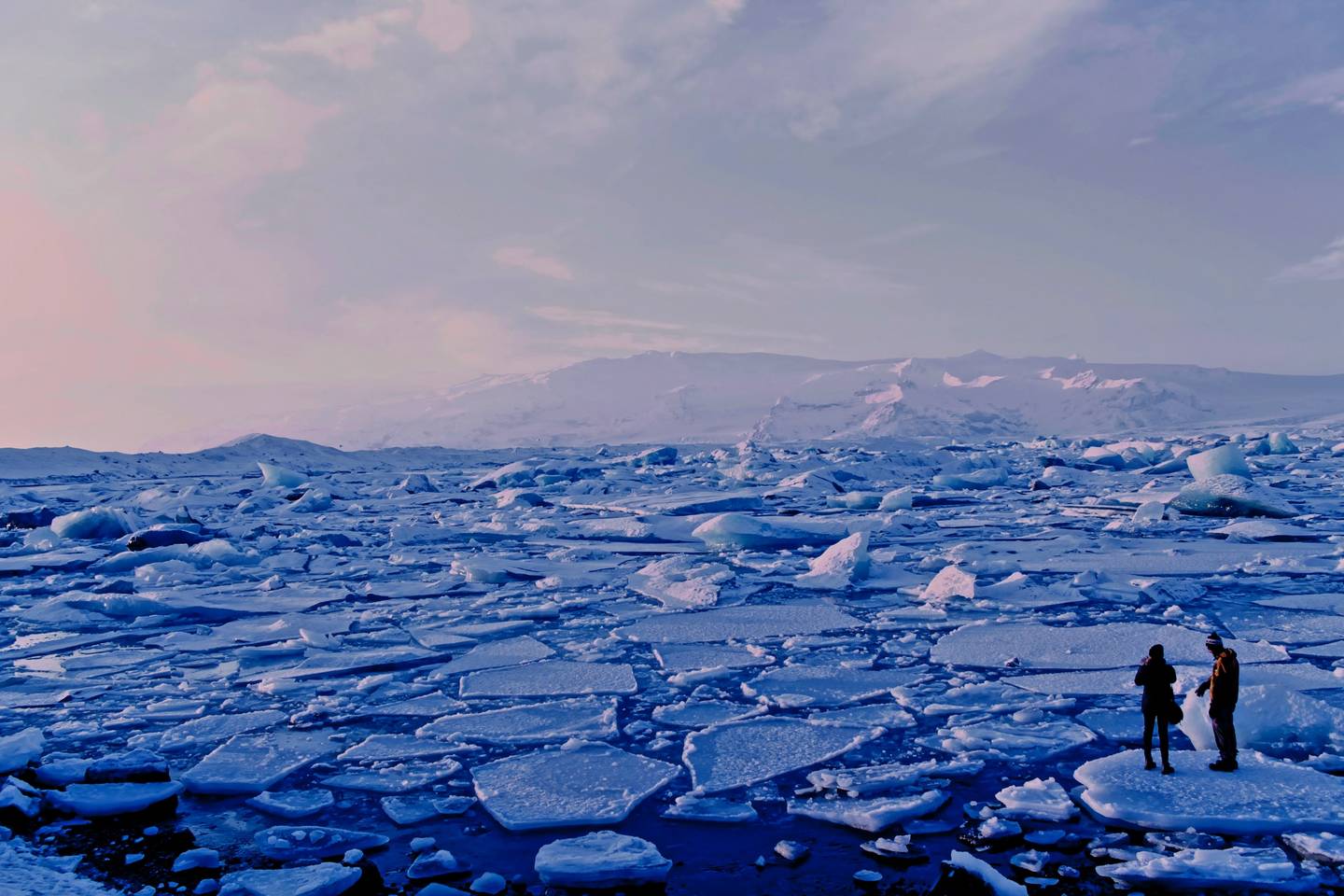 Từ Vựng Bài Đọc Can We Prevent The Poles From Melting_