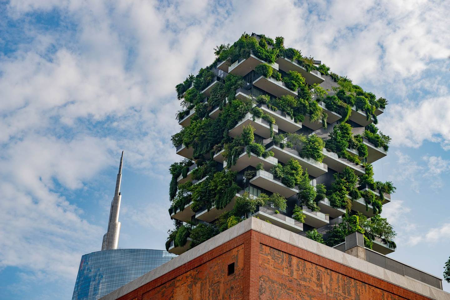 Từ Vựng Bài Đọc Crop-Growing Skyscrapers