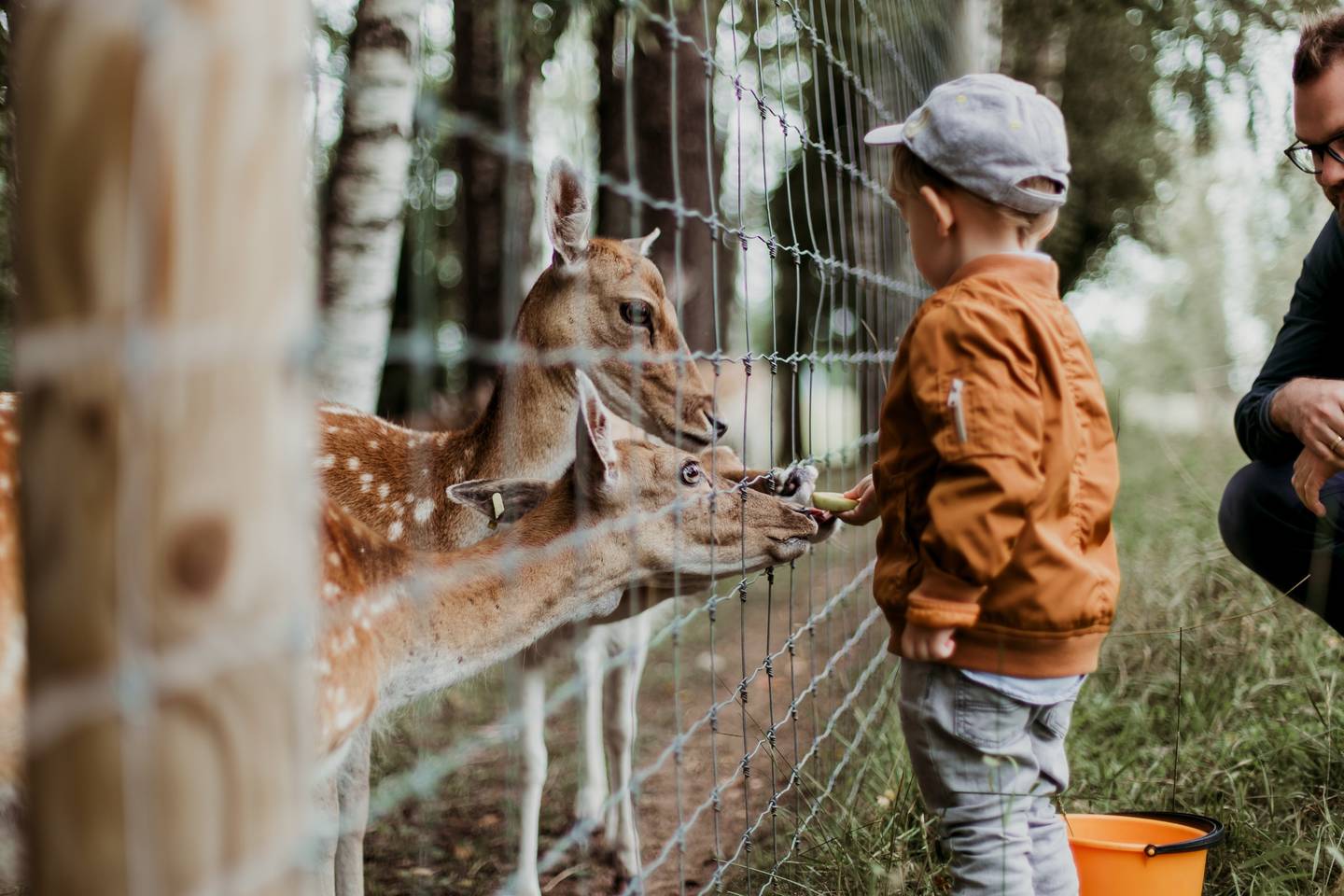 Từ Vựng Bài Đọc Why Zoos Are Good