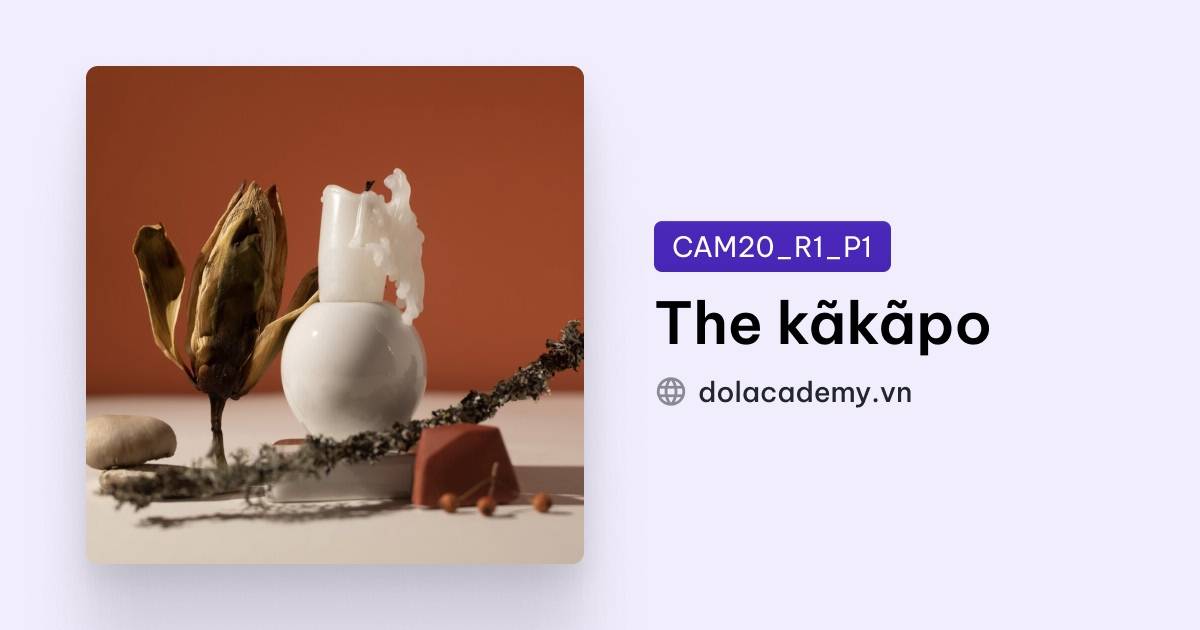 The kãkãpo IELTS Reading Answers with Explanation