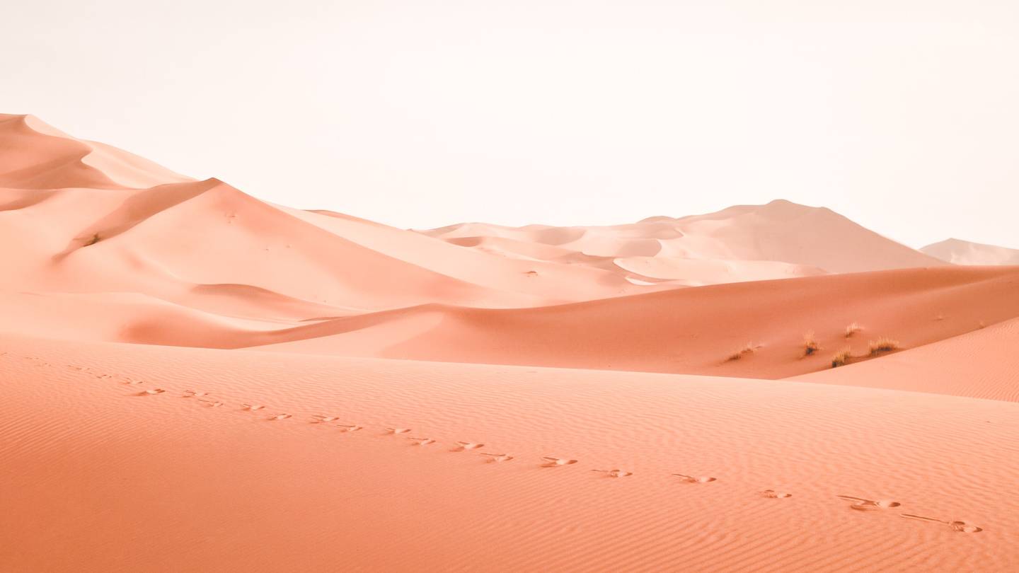 Từ Vựng Bài Đọc How Deserts Are Formed?