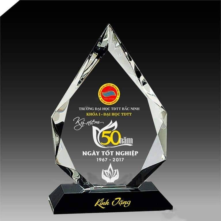 Mẫu kỉ niệm chương độc đáo