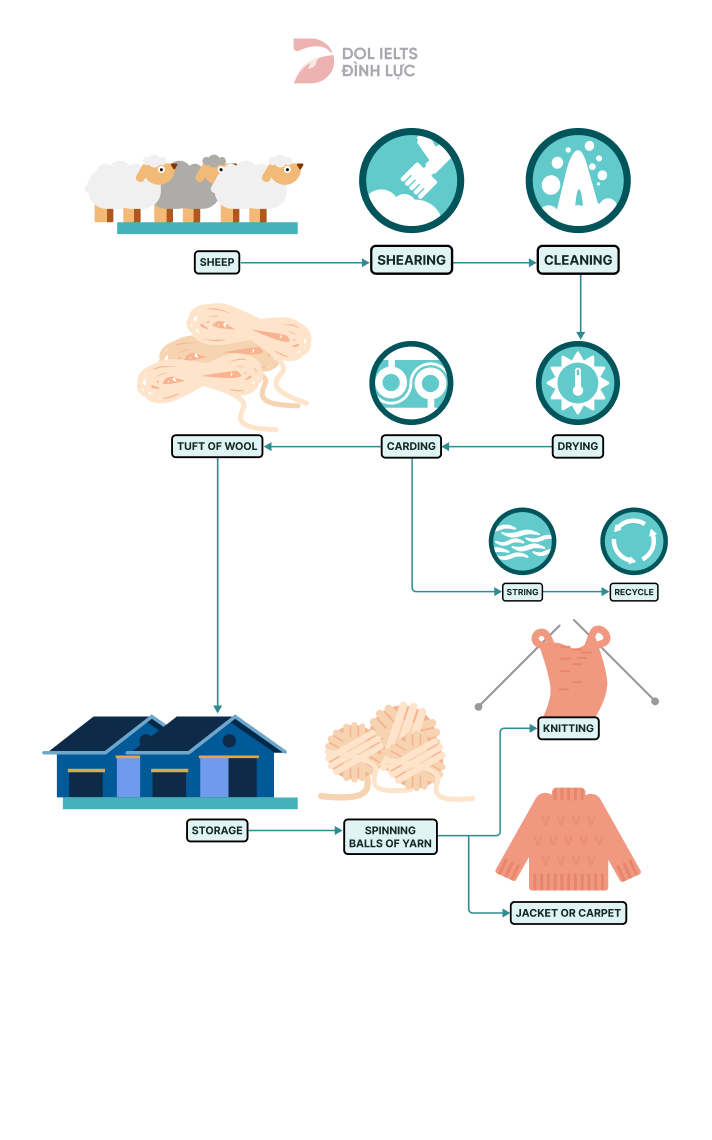IELTS Writing Task 1 Wool Making Process ngày 26/02/2022