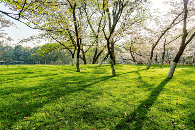 Từ Vựng Bài Nghe Parks & Open Spaces