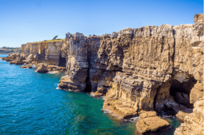 Từ Vựng Bài Nghe Rocky Bay Field Trip