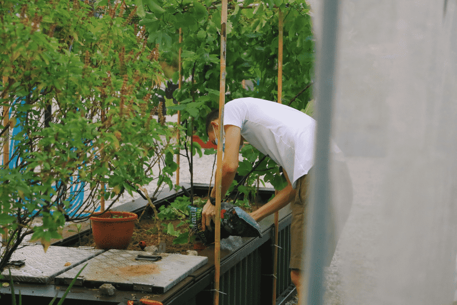 Từ Vựng Bài Đọc Urban Farming