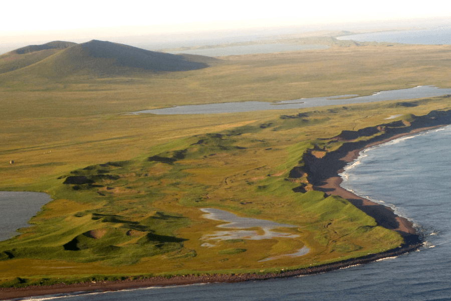 Woolly Mammoths On St Paul’s Island IELTS Listening Answers With Audio, Transcript, And Explanation