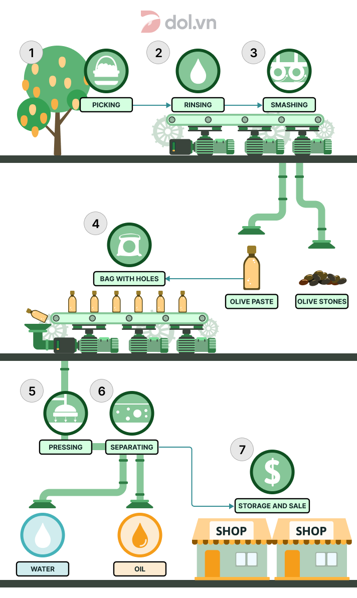 Process of making olive oil - Đề thi IELTS Writing Task 1