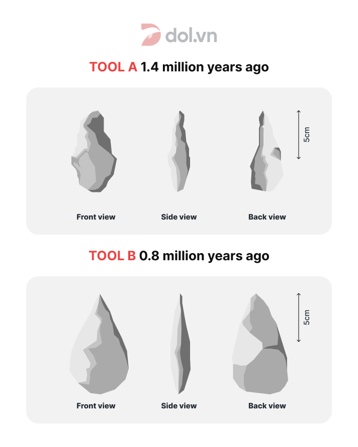 The development of cutting tools in the Stone Age - IELTS Writing