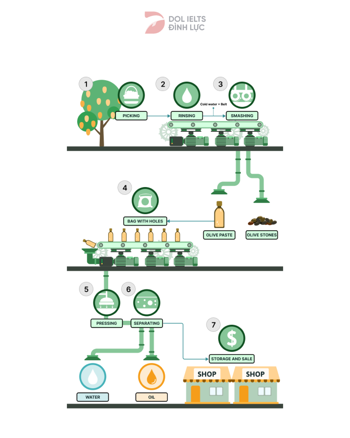 Process of making olive oil - Đề thi IELTS Writing Task 1